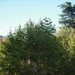 HYERES Ctre Ville - Ds R�s. Magnifique Studio de 33 m� enti�rement refait,  au 3�me �tage avec ascenseur,  une