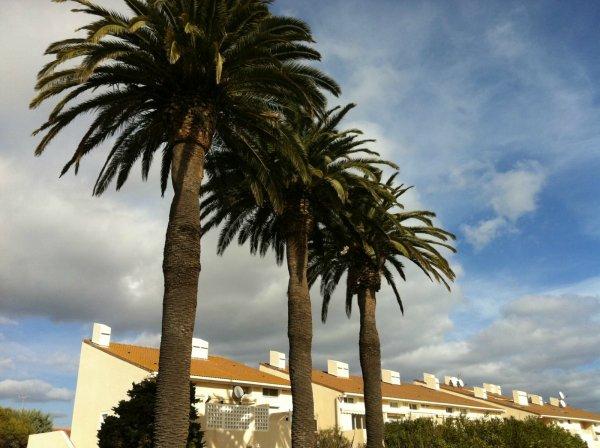 Appartement Les Salins D Hyeres, 37 m&sup2;, 168 540
