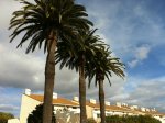 A 20 m de la plage des salins appartement T2 tr�s bien situ�