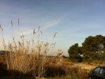 APPARTEMENT HYERES  dans cadre sauvage A 100 m de la plage