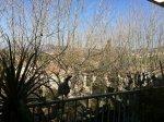 APPARTEMENT DERNIER ETAGE HYERES