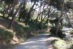 HYERES  MONT DES OISEAUX
